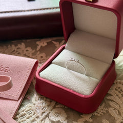 S925 Sterling Silver Mini Bow Twisted Zircon Ring