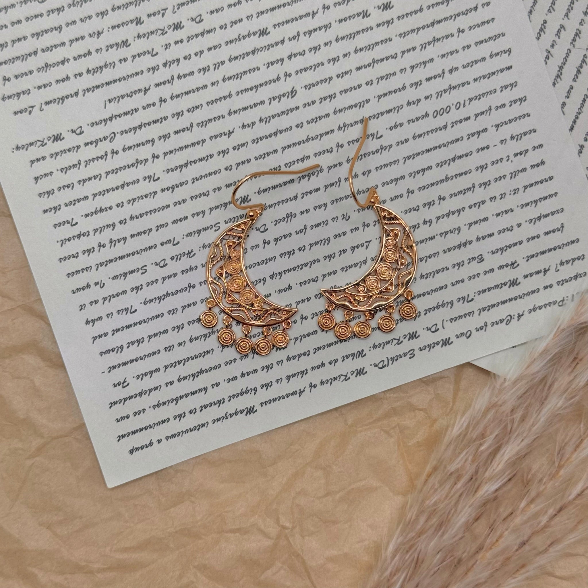 S925 Silver Gold-Tone Crescent Moon Boho Earrings